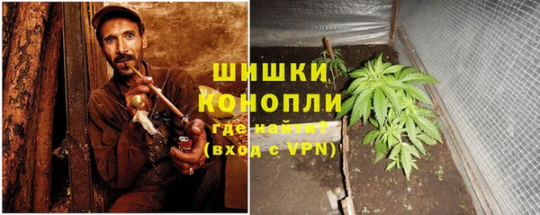PSILOCYBIN Горнозаводск