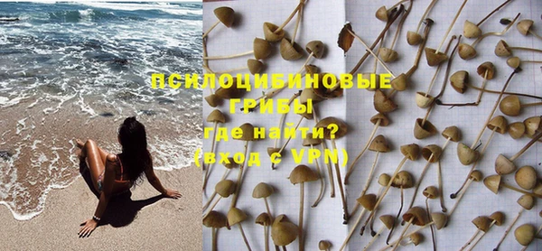 PSILOCYBIN Горнозаводск
